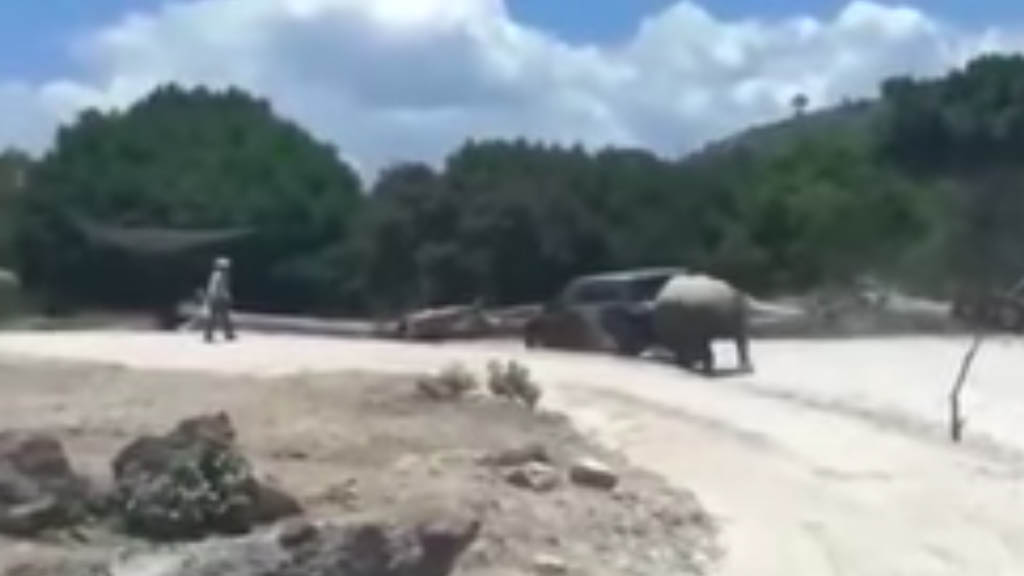 #Video Rinoceronte ataca camioneta en Africam Safari de Puebla