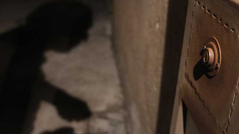 México promedia 26 robos a casa habitación por cada 100 mil habitantes