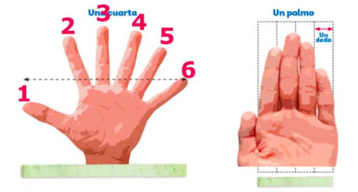 Libro con error de seis dedos llega a las aulas