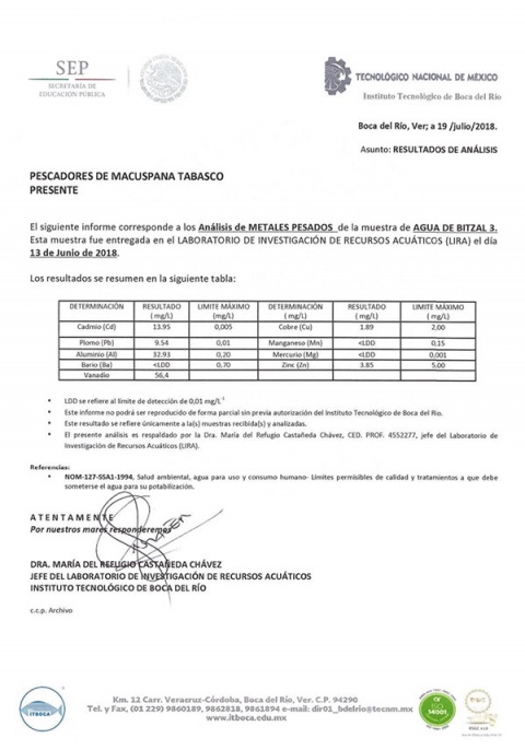 Semarnat desconoce estudio que indica causa de muerte de manatíes - semarnatint