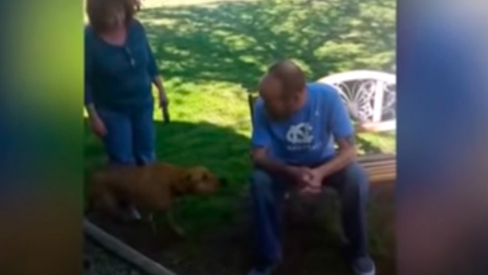 #Video Perro no reconoce a su amo tras bajar de peso