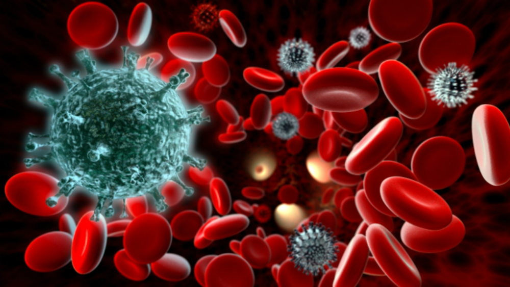 Hallan nuevo 'microórgano' en el cuerpo humano - sistema-inmunologico