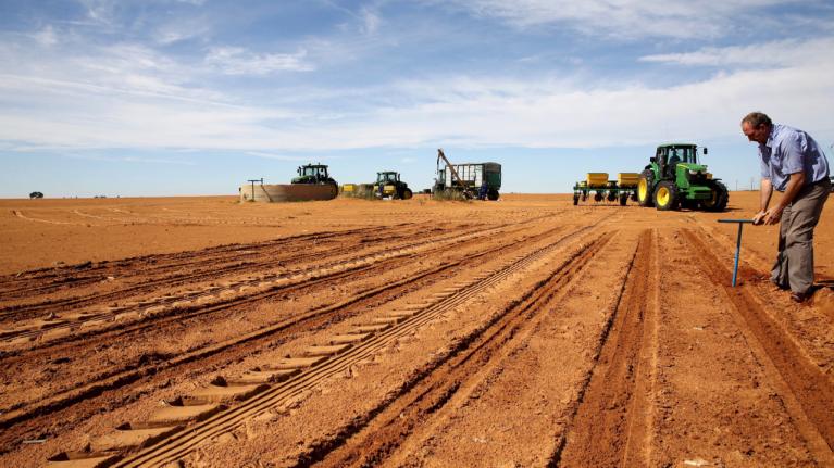 Disputa entre negros y blancos por reforma agraria en Sudáfrica - sudafrica-reforma-agraria2