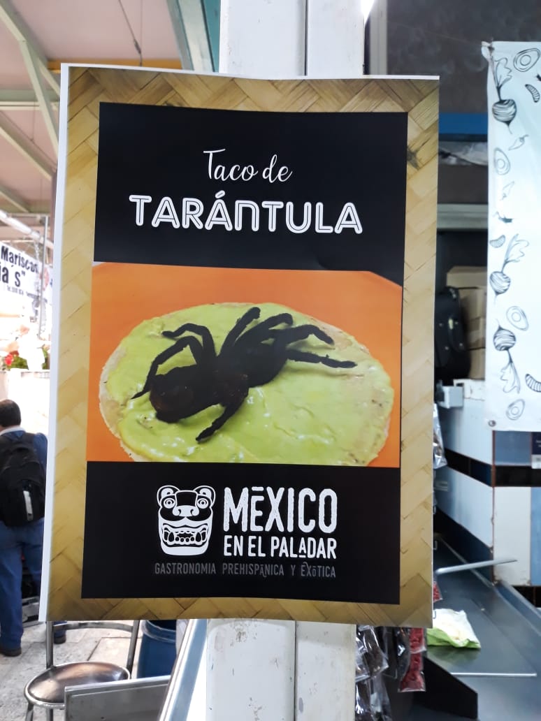 Profepa asegura tarántulas vendidas para su consumo en el Centro - tarantulas-profepa-mercado-san-juan-2