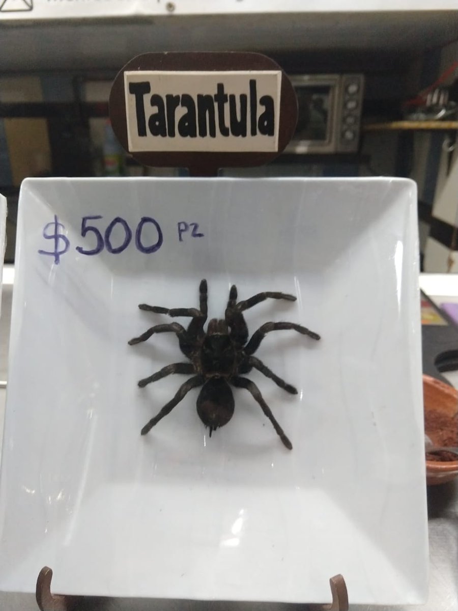 Profepa asegura tarántulas vendidas para su consumo en el Centro - tarantulas-profepa-mercado-san-juan-4