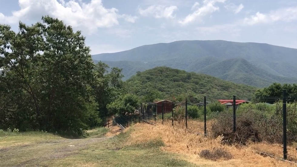 Hallan cinco fosas clandestinas en Tecomán, Colima - tecolapa-tecoman-fosas-clandestinas-2