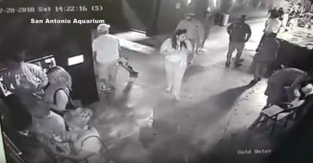 Hombre que robó tiburón de acuario asegura ser activista