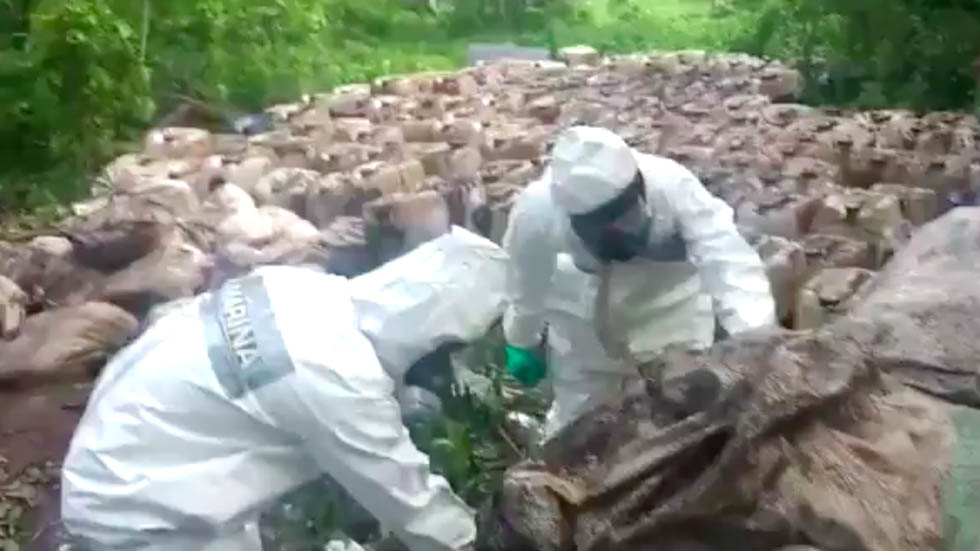 #Video Semar halla más de 50 toneladas de cristal en Sinaloa