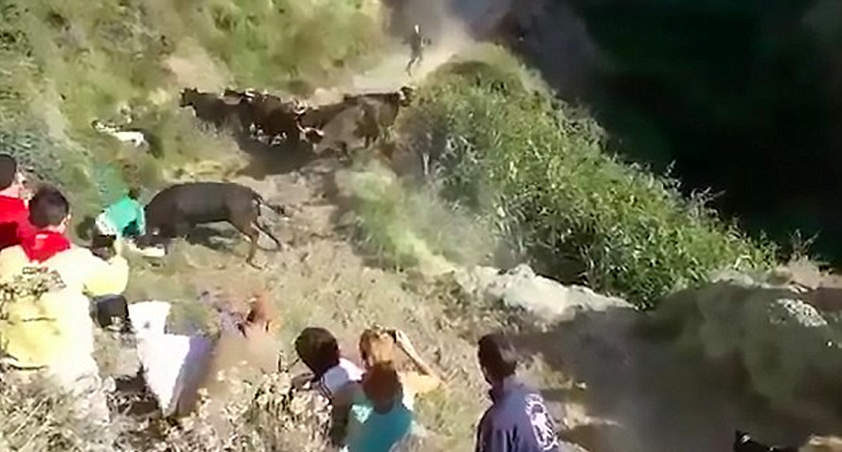 #Video Toro arremete contra asistentes al ‘Pilon Bull Run’