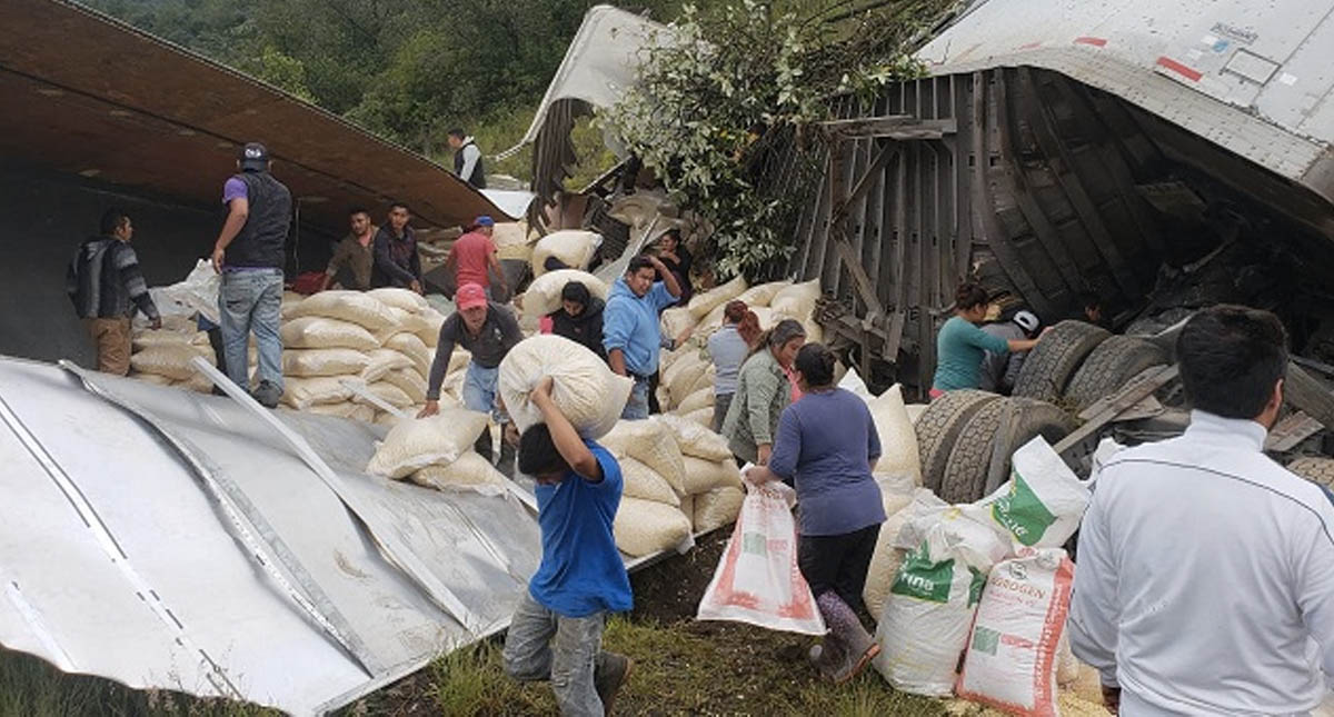 Rapiña tras accidente de tráiler en la Puebla-Orizaba - trailer-rapina-puebla-orizaba-granos-maiz-4