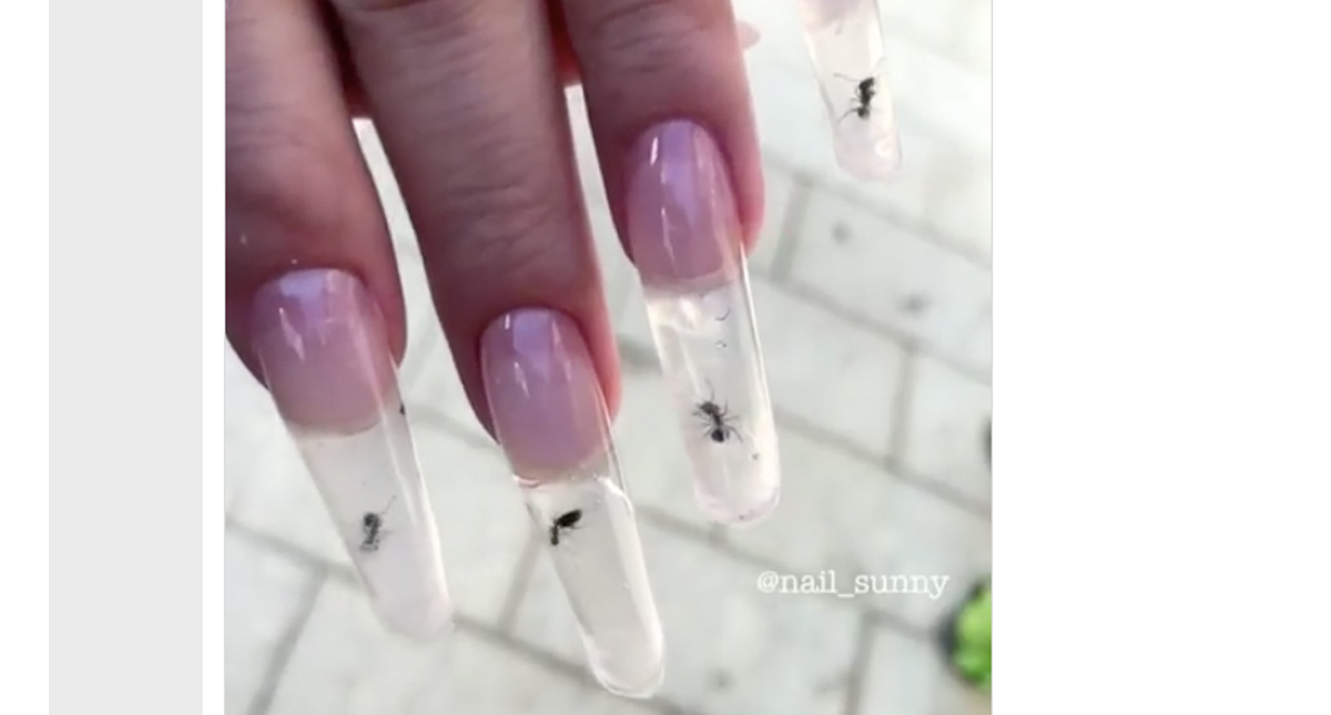 #Video Uñas con hormigas vivas