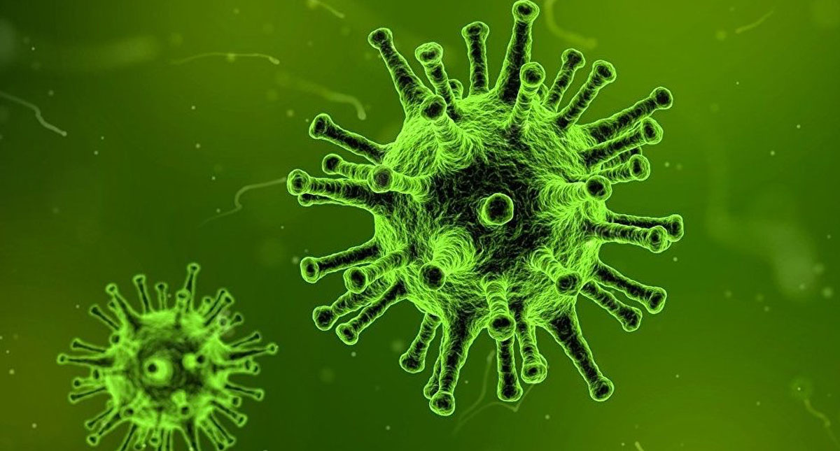 Nueva pandemia podría causar la muerte de 900 millones de personas