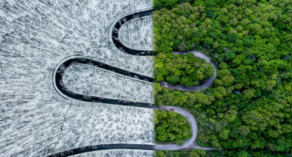 Estas son las mejores fotografías captadas por un dron - weather-snake