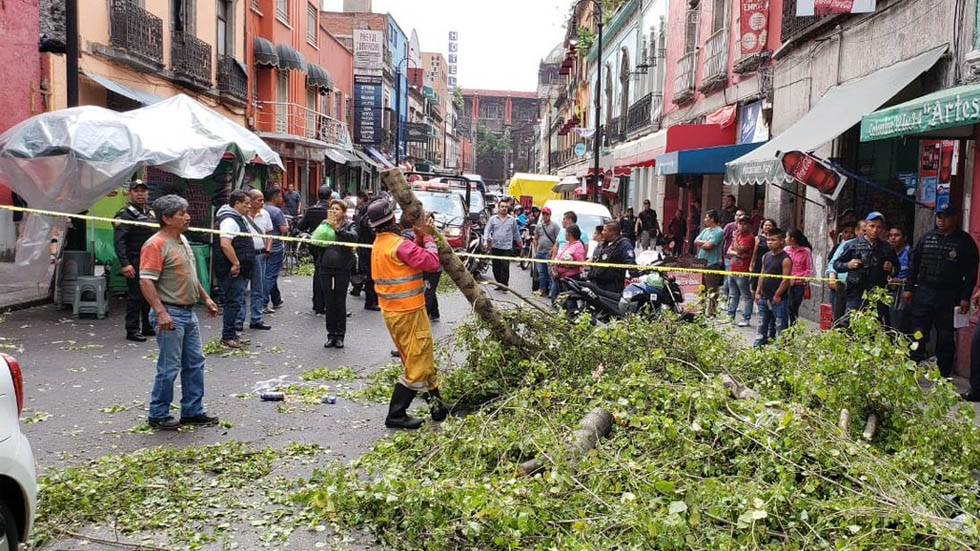Cae árbol encima de automóvil en el Centro Histórico - arbol-cae-centro-historico-auto-3