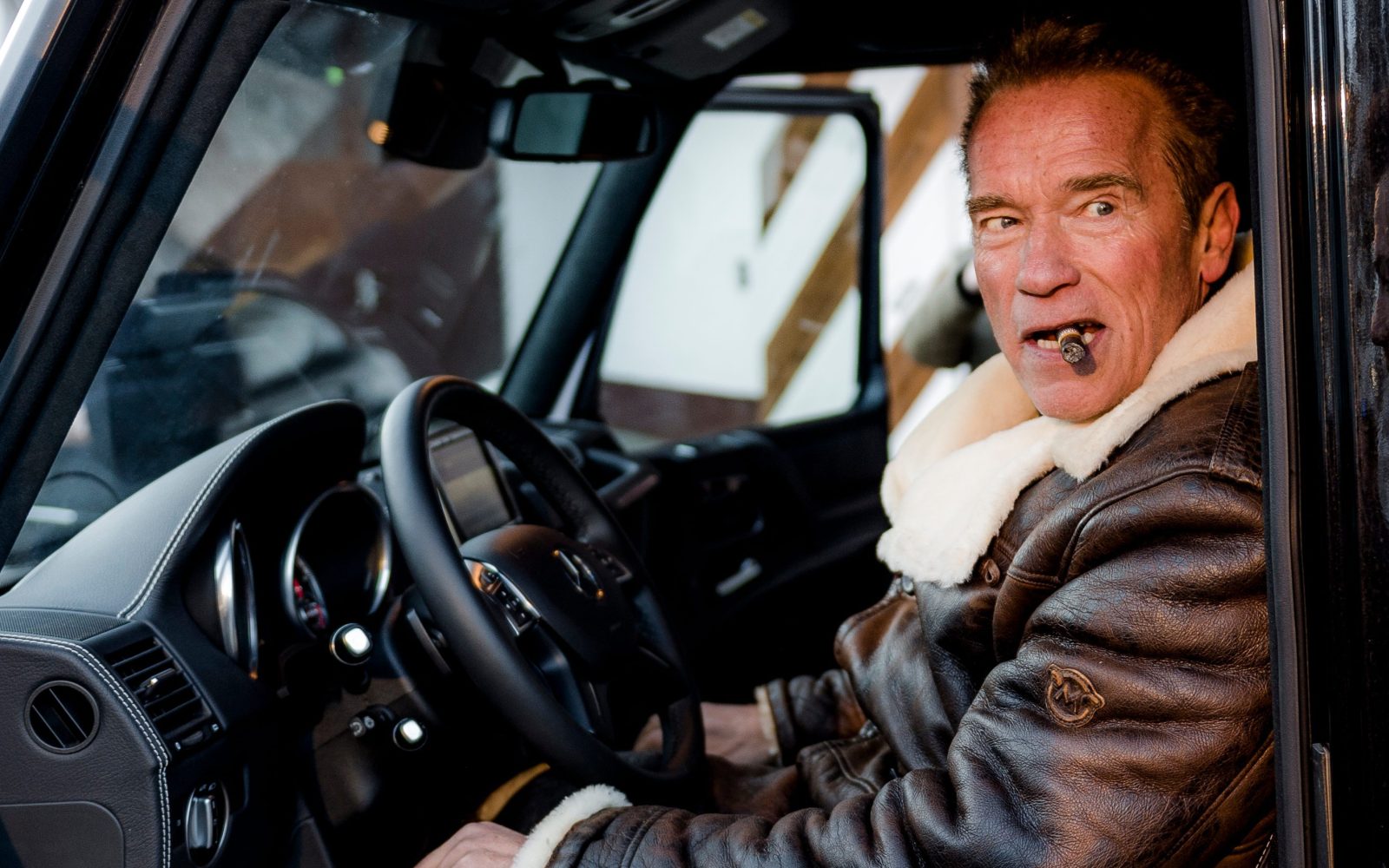 El actor más mortal del cine - arnold