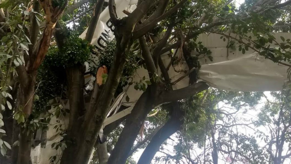 Desplome de avión pequeño en Morelos deja al menos un herido