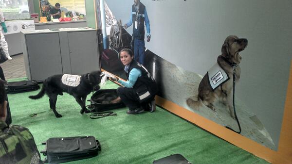 Despiden con honores a unidad canina de inspección sanitaria - bbencpccqae9s8s