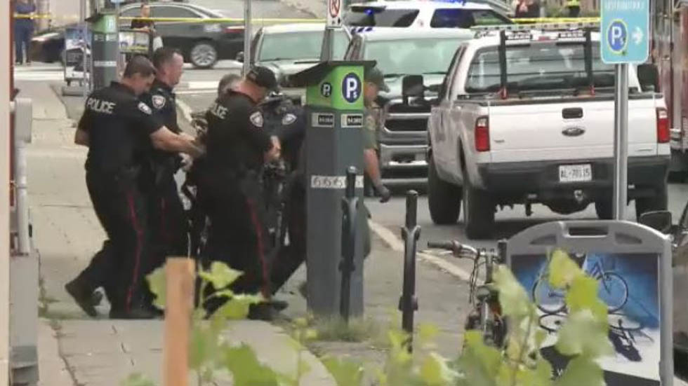 Presencia de oso en centro de Ottawa alerta a habitantes