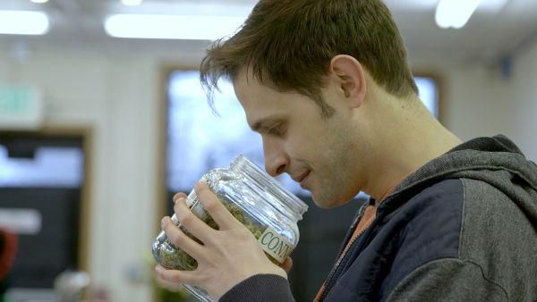 Abren seis puestos para ser catador de mariguana en Canadá - catador-04