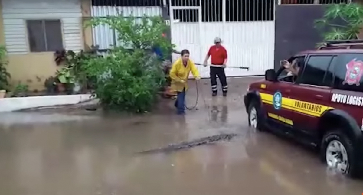 Cocodrilo aparece en calles de Lázaro Cárdenas, Michoacán