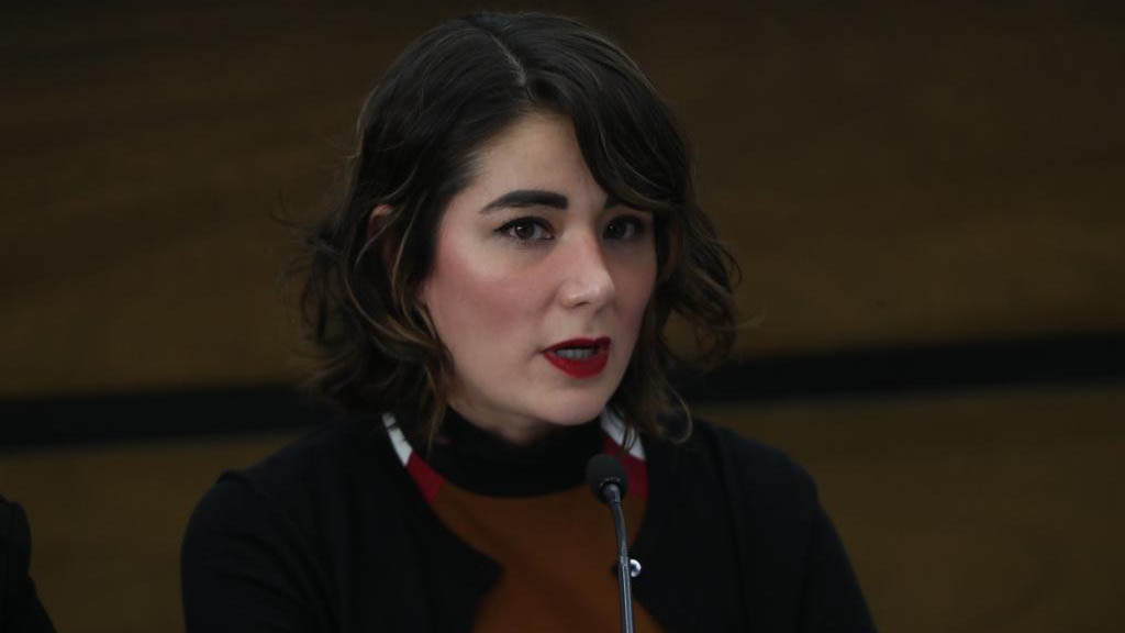 INE analiza atraer caso 'Juanitas' en Chiapas - dania-ravel-consejera-ine