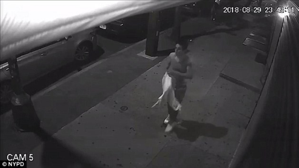 Detienen a presunto miembro de MS-13 por violar a menor en Nueva York