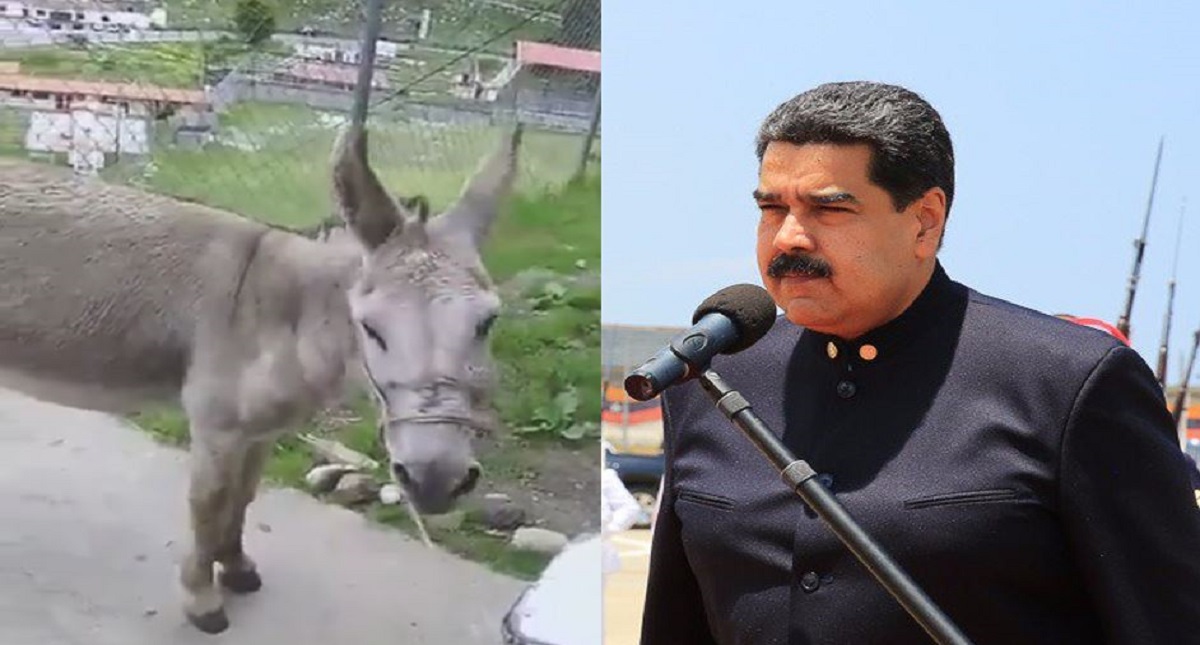 #Video Detienen a bomberos por comparar a Maduro con burro