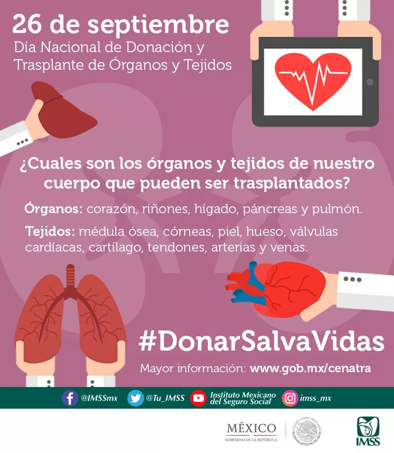 ¿Cómo ser donador de órganos y tejidos? - donacion-de-organos