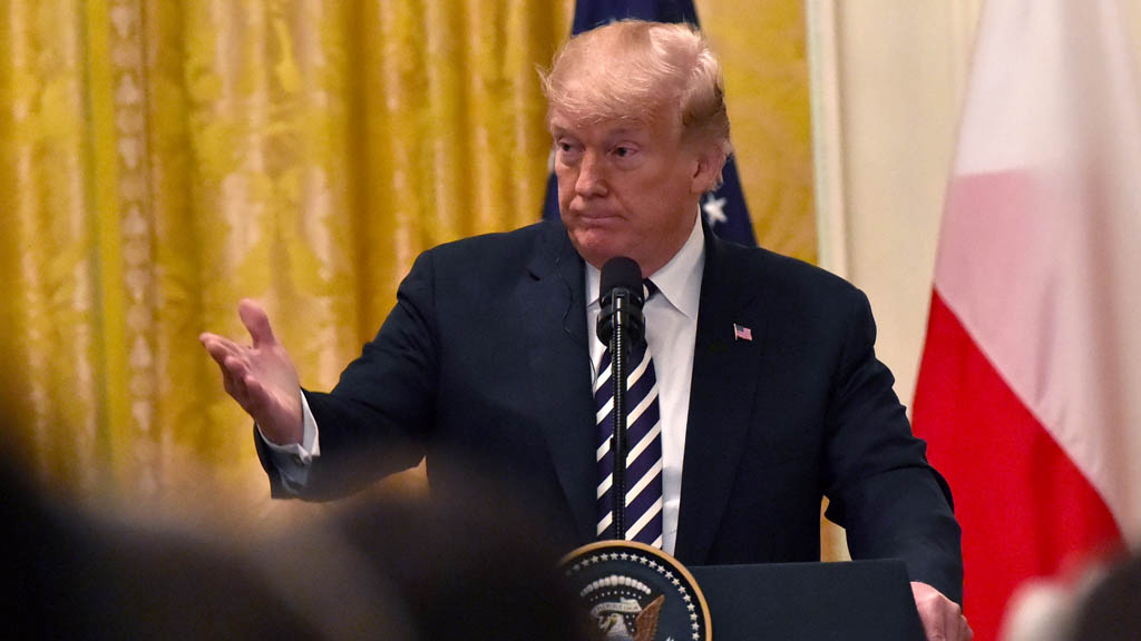 Donald Trump anticipa una buena relación con AMLO Donald Trump anticipa una buena relación con AMLO