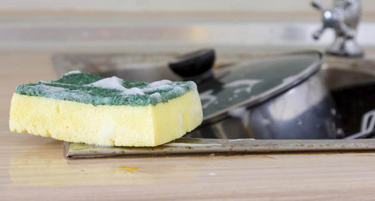 Estos son los objetos más sucios de la casa - esponja-de-lavar-trastes