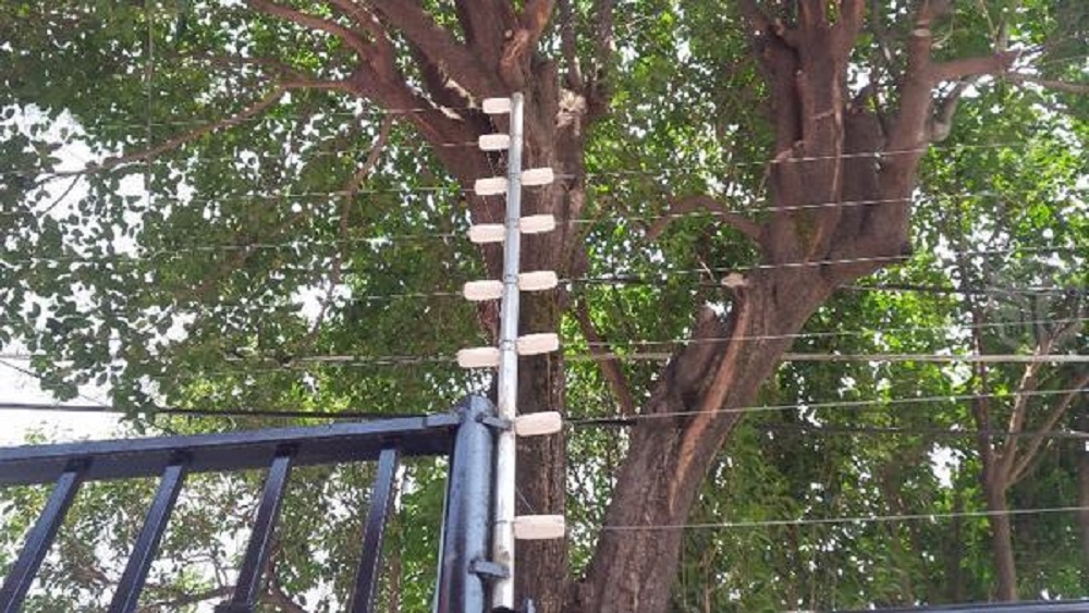 Hombre electrifica patio y su esposa muere por descarga