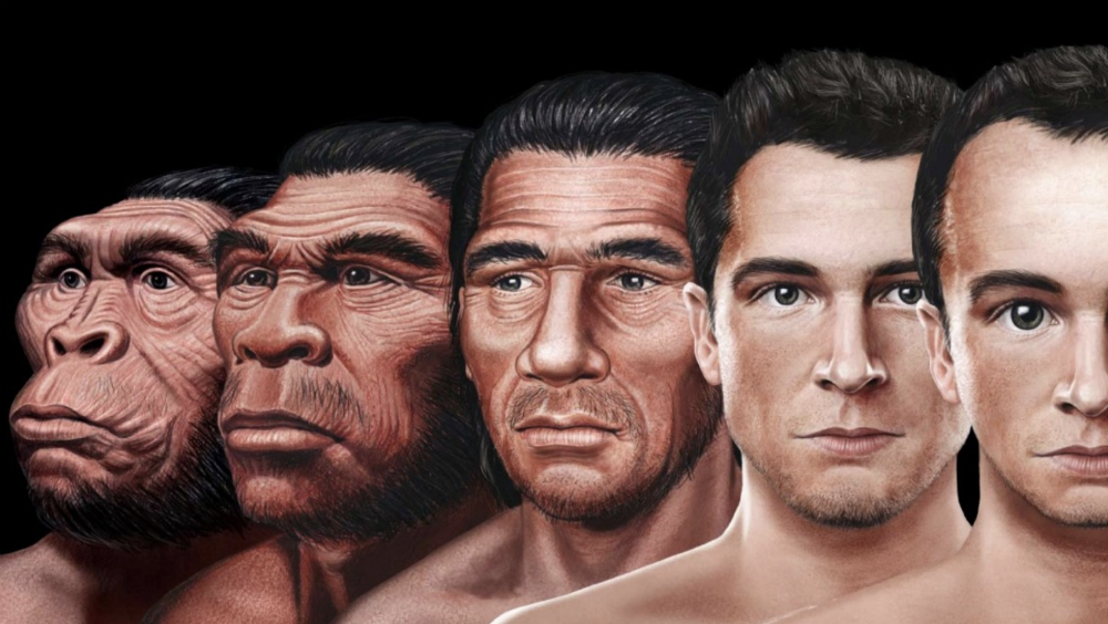 Este podría ser el rostro del hombre del futuro según la ciencia