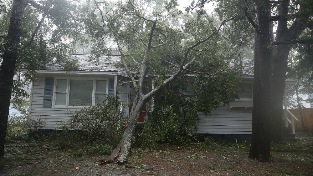 No habrá piedad sobre saqueadores: gobernador de Carolina del Sur