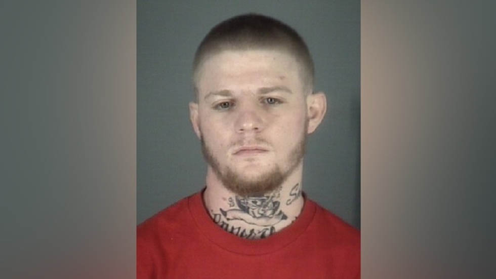 #Video Perro policía derriba a sujeto que trató de secuestrar a bebé en Florida - florida-sujeto-secuestro-perro