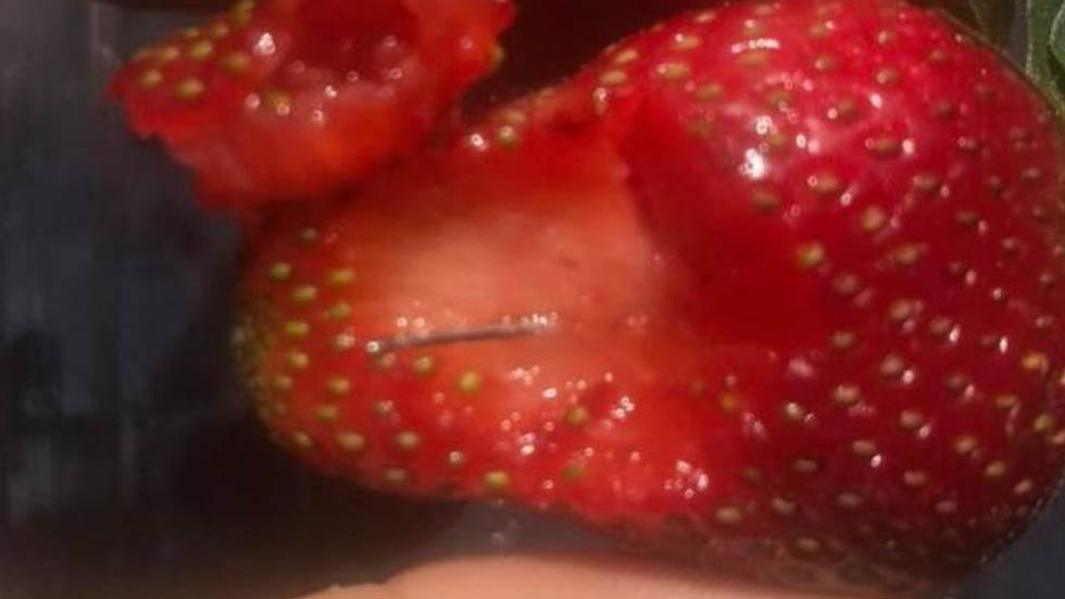 Australia califica como "terrorismo" caso de fresas con agujas ocultas - fresas-agujas-australia-2