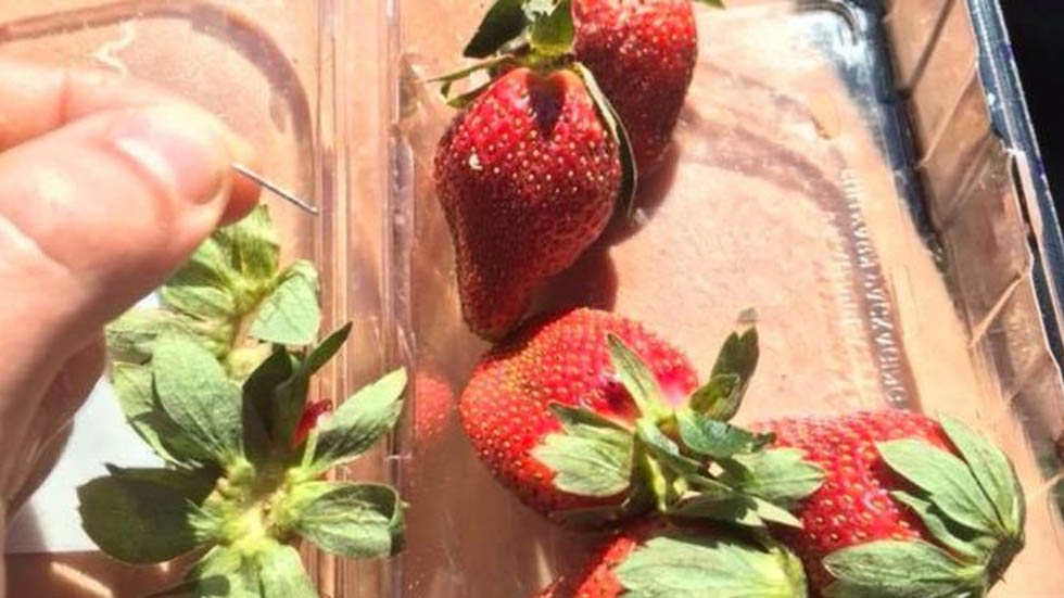 Australia califica como “terrorismo” caso de fresas con agujas ocultas