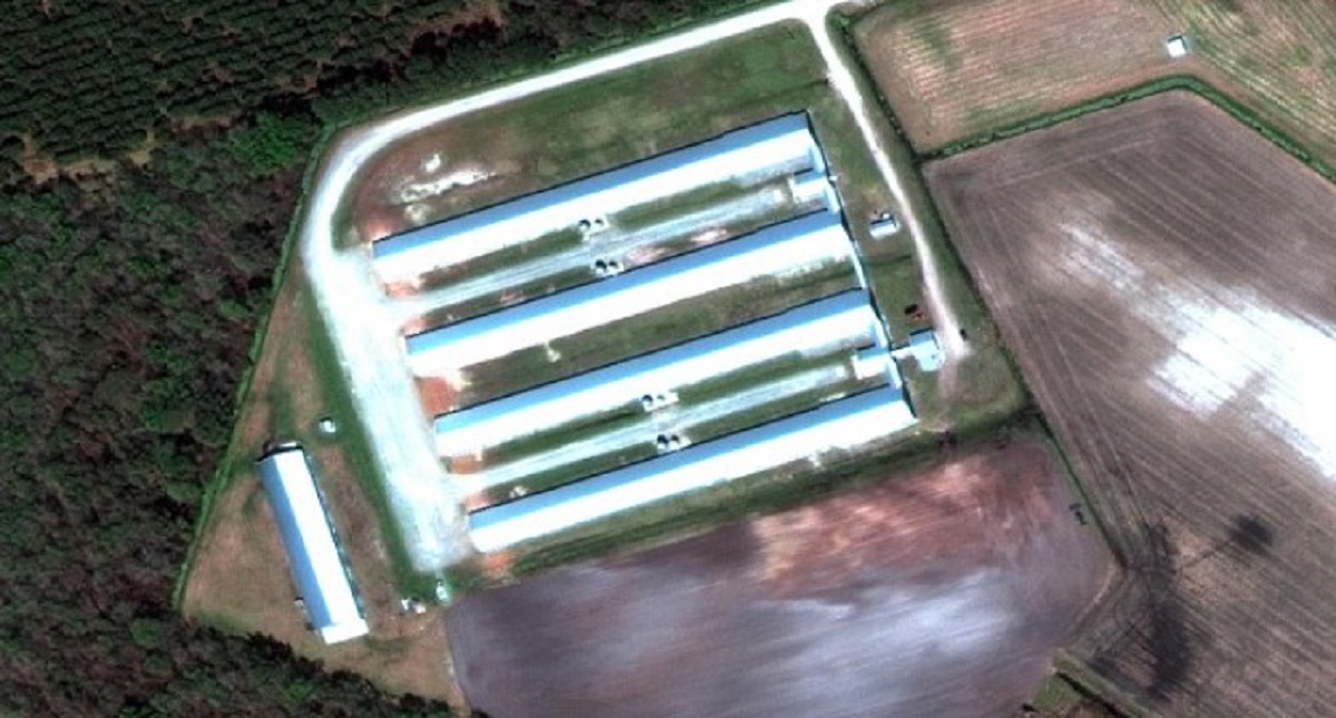 Imágenes satelitales muestran daños de Florence en Carolina del Norte - granja-de-pollos-antes