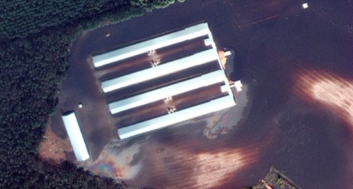 Imágenes satelitales muestran daños de Florence en Carolina del Norte - granja-de-pollos-despues
