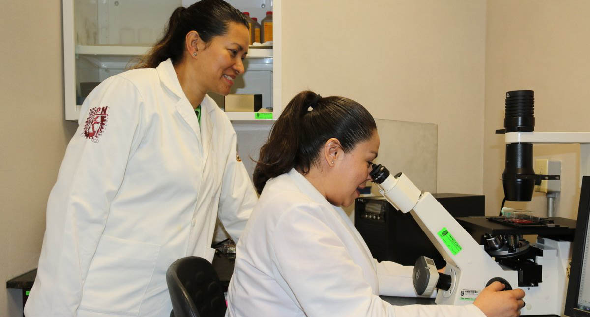 Guanábana combatiría cáncer de mama, hígado y pulmón - guanabana-combatiria-los-canceres-de-mama-higado-y-pulmon