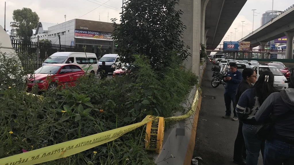 Hallan plantas de mariguana en camellón de Periférico Norte - hallan-plantas-de-mariguana-en-camellon-de-periferico-nte