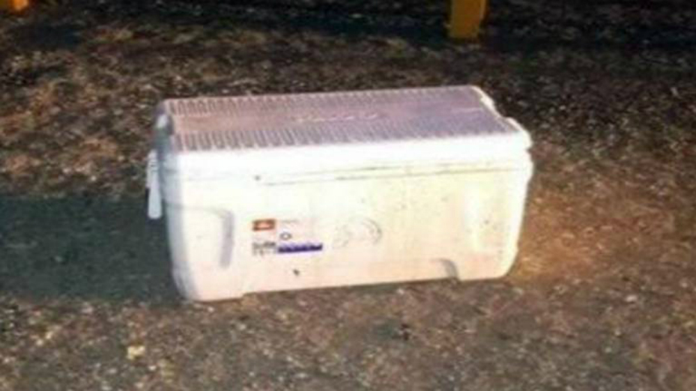 Encuentran una hielera con siete cabezas humanas en Sonora