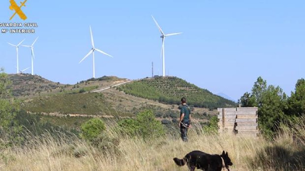 Mujer mata a su amiga durante sus vacaciones y luego la usurpa