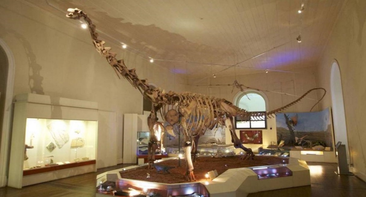 Museo de historia natural de Río es el más grande de América Latina - museo-nacional-de-rio-de-janeiro-dinosaurio