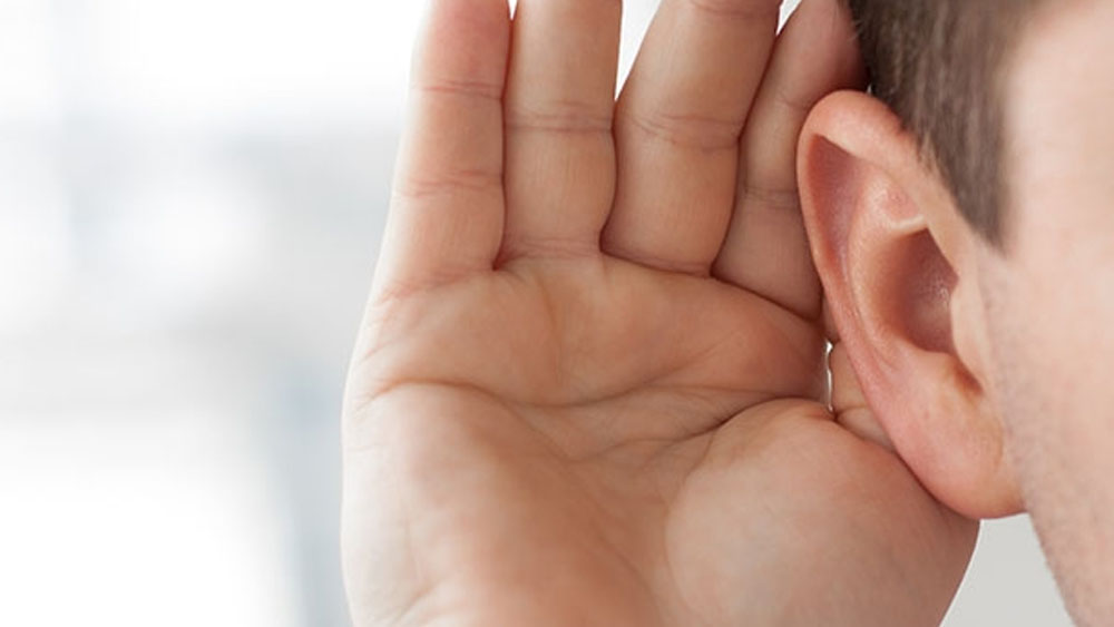 Descubren nuevos tipos de neuronas en el oído