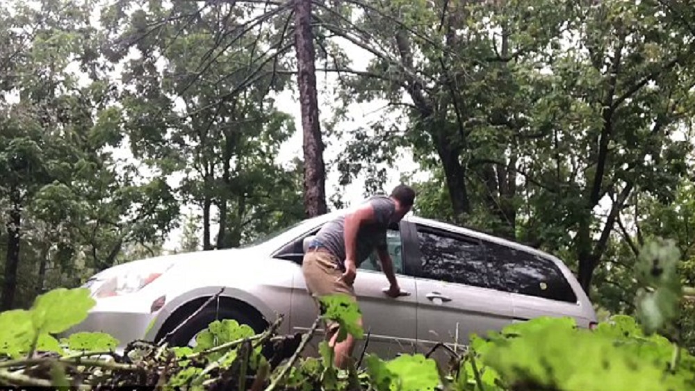 #Video Oso sube a camioneta de familia y escapa rompiendo ventana - oso-sube-a-camioneta-de-familia-y-escapa-rompiendo-ventana