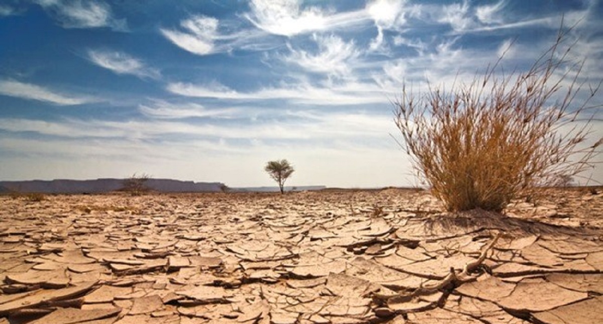 Padecen hambruna 821 millones de personas por cambio climático