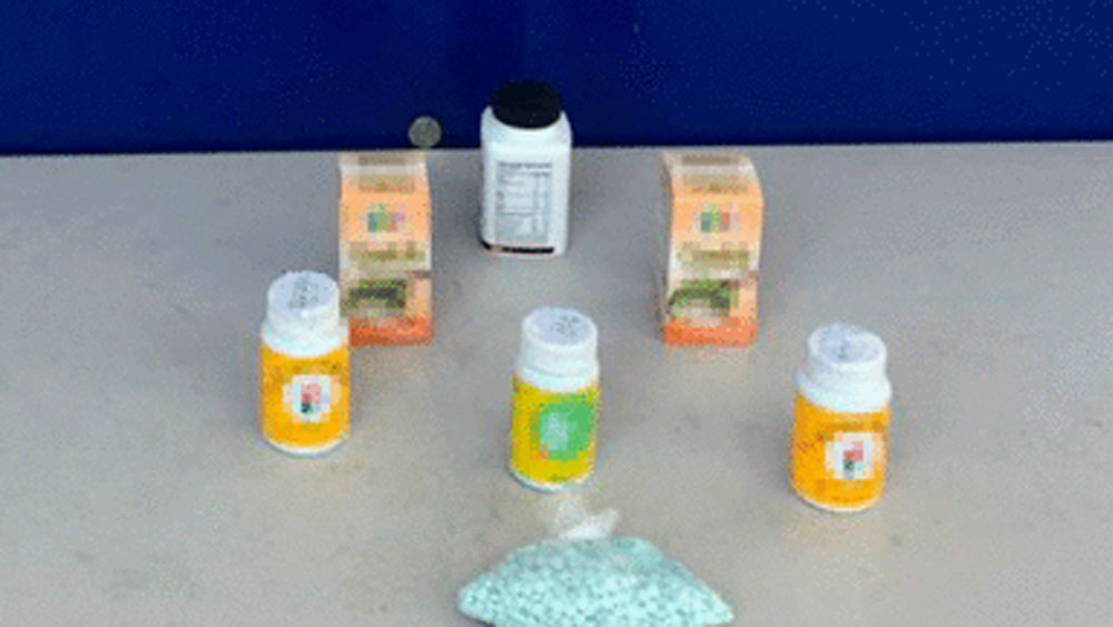 Binomio canino encuentra siete mil pastillas de fentanilo en Tijuana