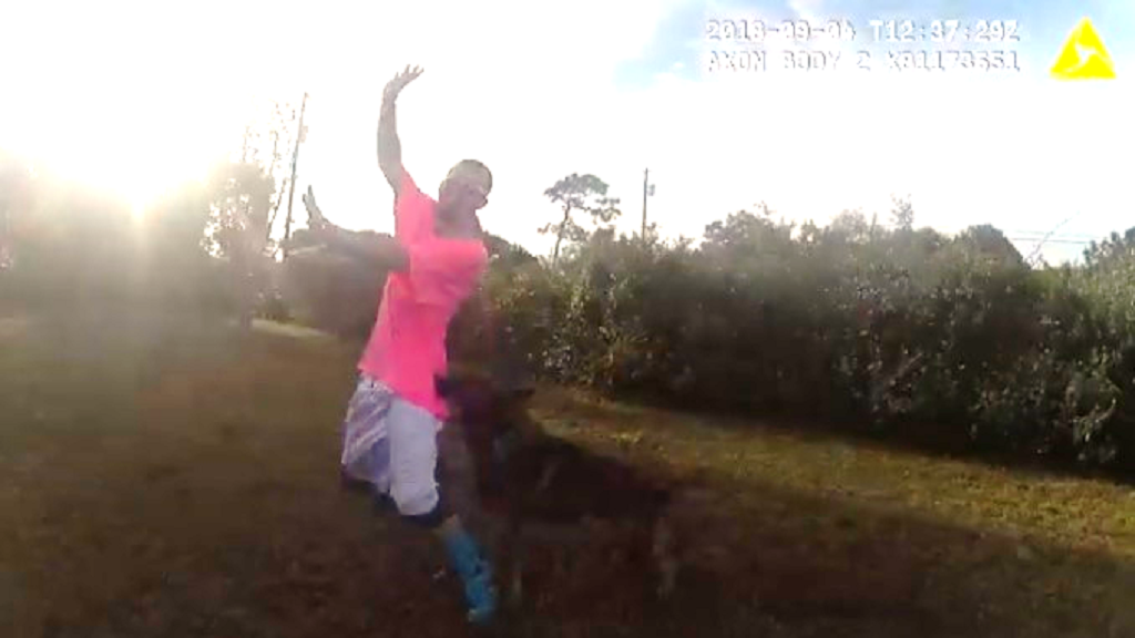 #Video Perro policía detiene a ladrón de autos en persecución