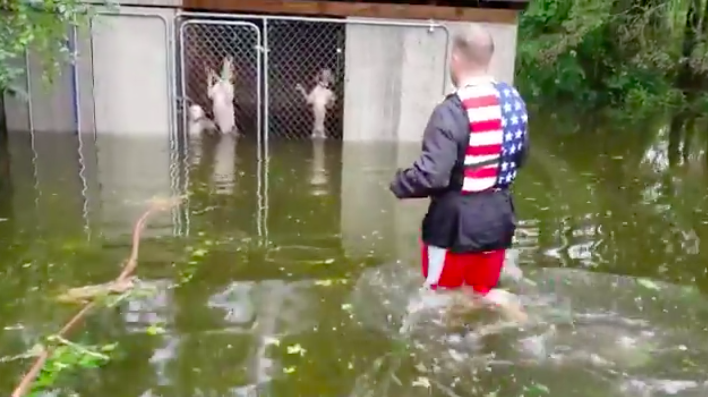 #Video Rescatan a perros atrapados en el agua tras paso de Florence