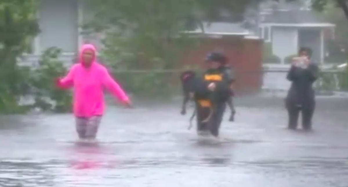 #Video Reportera deja transmisión para salvar a perro de Florence